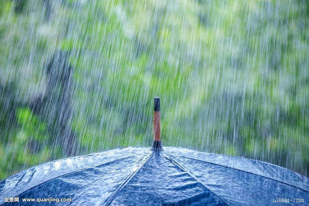 单依纯雨天音乐与免费下载的美好交融时刻