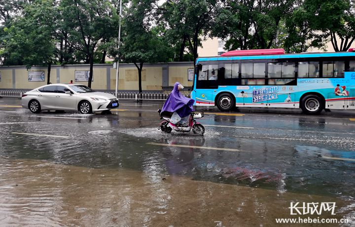 河北暴雨实时更新，紧急应对与救援进展追踪